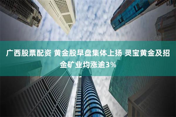 广西股票配资 黄金股早盘集体上扬 灵宝黄金及招金矿业均涨逾3%