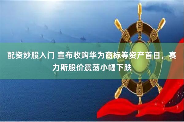 配资炒股入门 宣布收购华为商标等资产首日，赛力斯股价震荡小幅下跌