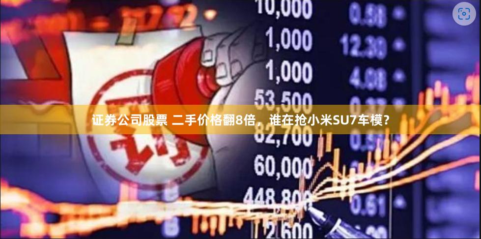 证券公司股票 二手价格翻8倍，谁在抢小米SU7车模？